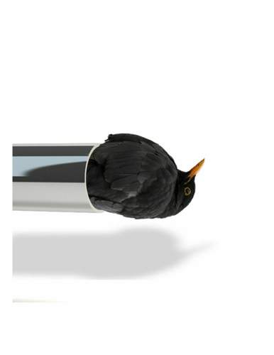 Auspuffdrossel