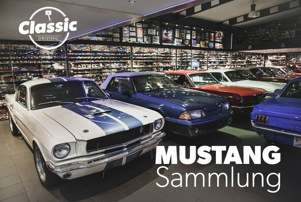 Klar sind die großen Ponys der Hingucker. Aber vielleicht, nur vielleicht, hat der belgische Ford-Verrückte Adelbert Engler seine vielen kleinen Mustang sogar noch ein bisschen lieber