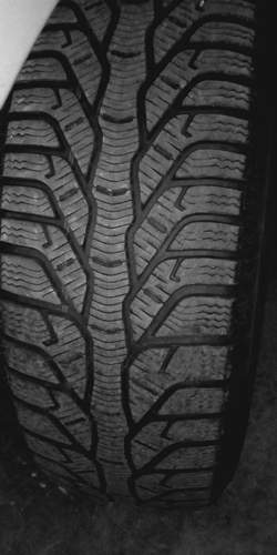 IMG_20190303_195828_1.jpg