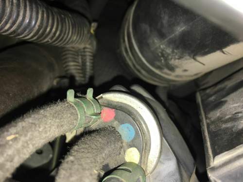 Img-6708