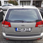 Octavia-Wischer