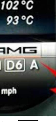 .jpg