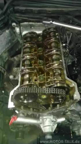 Kopf mit neuen Hydros und Kette