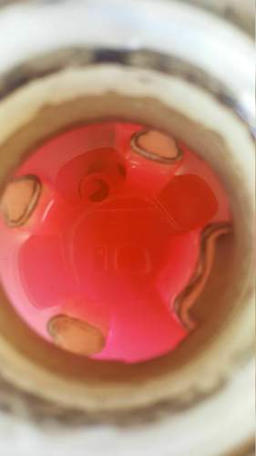 20170411_104239.jpg