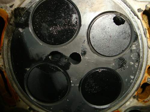 Img-1458