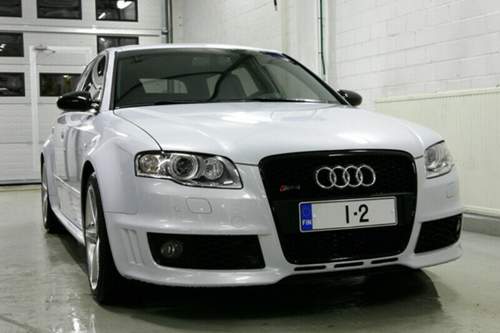 Suzukagrau2