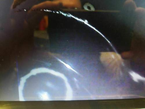 Img-20191028-wa0006