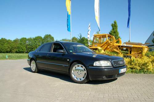 Dsc-6347