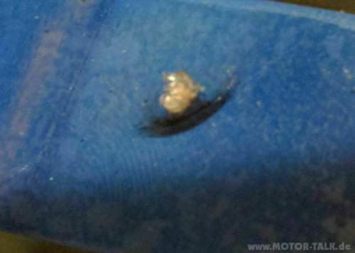 Img-20161111-190434