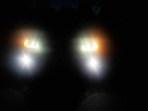 20201003_193843.jpg