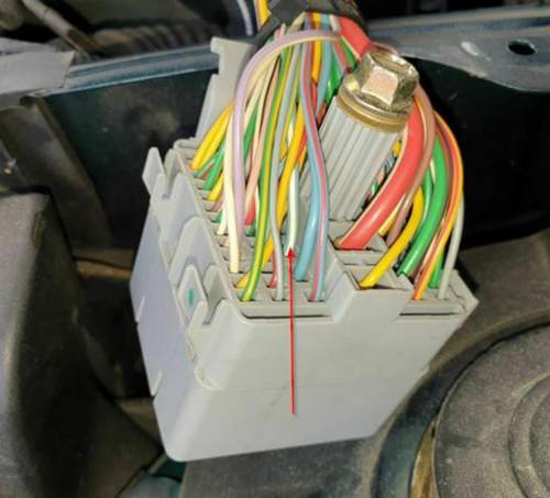 Rückseite Stecker