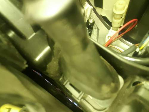 IMG_2021-10-12_09-58-34.jpeg
