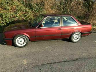 Tomatos E30