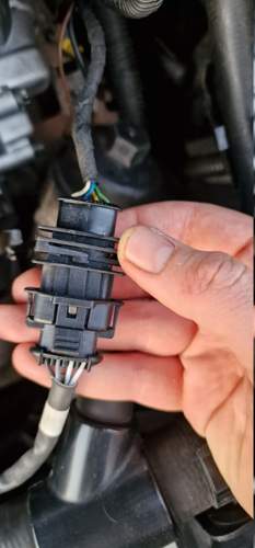 Stecker Vor-KAT-Sonde Z14XEP