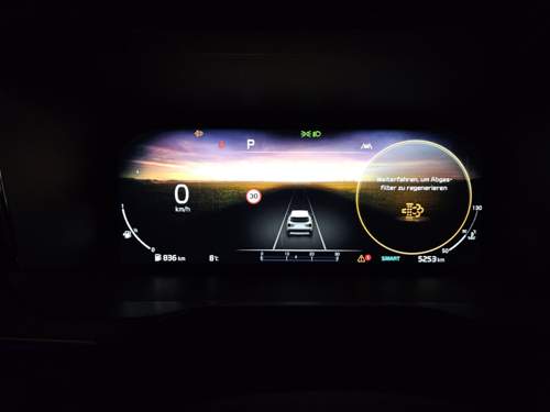 Sorento Diesel, Fehler mit Abgasfilter