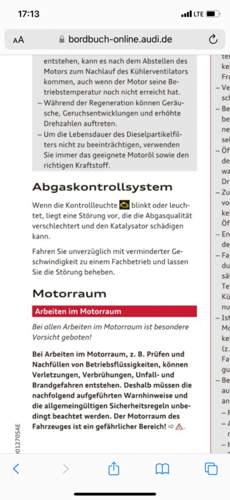 Abgaskontrollleuchte.jpg
