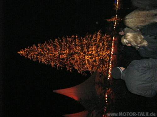 3-weihnachtsbaum