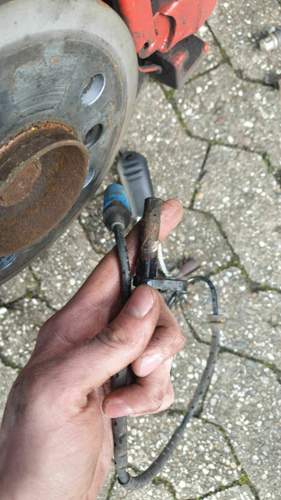 IMG-20220226-WA0045.jpeg