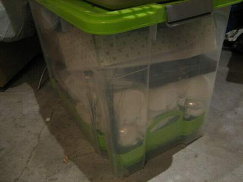 Img-0021