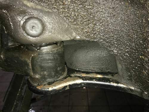 Img-7359
