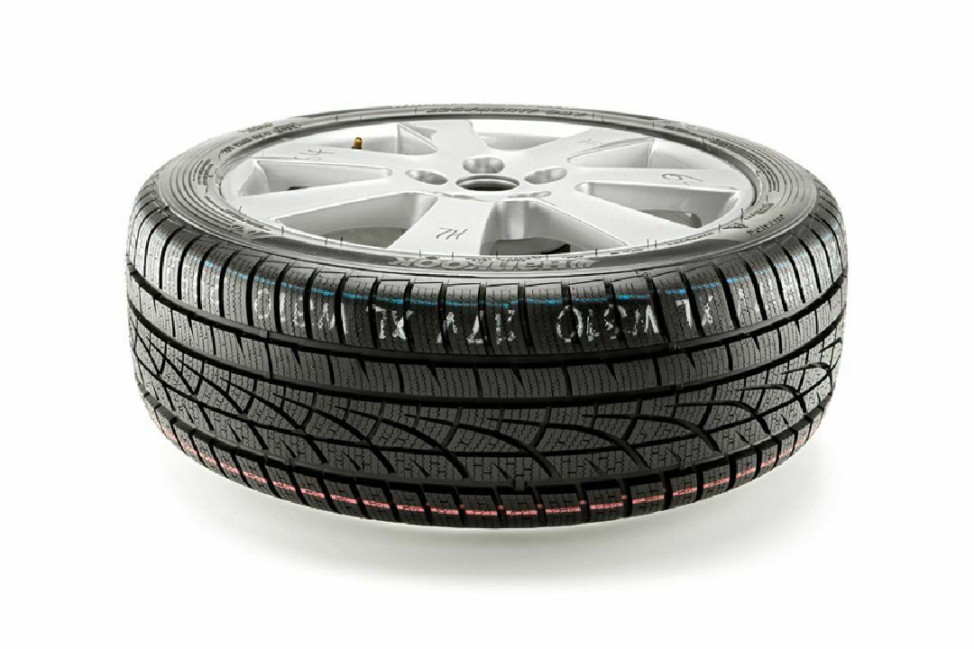 Hankook W310