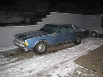 Img-6245
