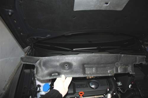 Img-3140