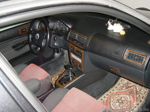 Golf IV 2