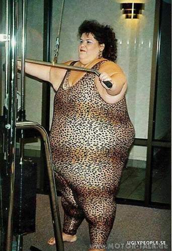 Leopardenweibchen