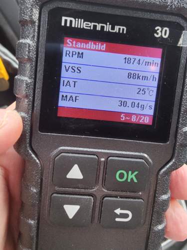 1000061446