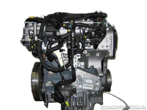 Z19dth-back