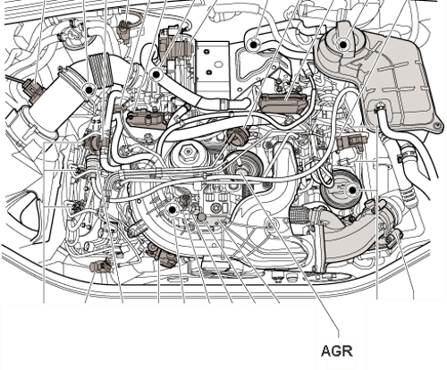 Asb-agr