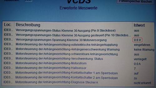 Auszug VCDS