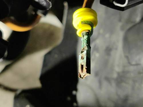 Img-20210102