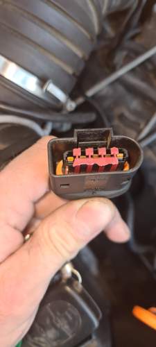 LMM Stecker 1