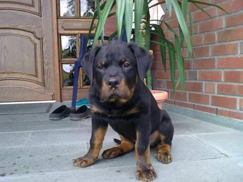 Bild4022