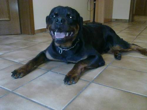 Bild3748