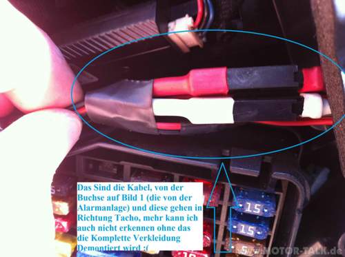 Bild-3