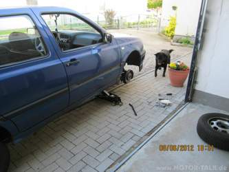 Img-0737