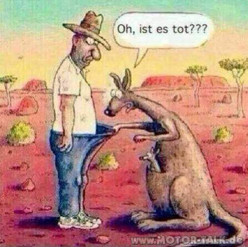 Lebt-noch-frage