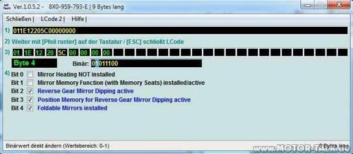 Vcds-printscreen