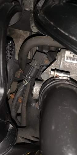 IMG_20250207_201200.jpg