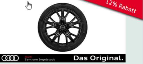 Winterreifen 20"