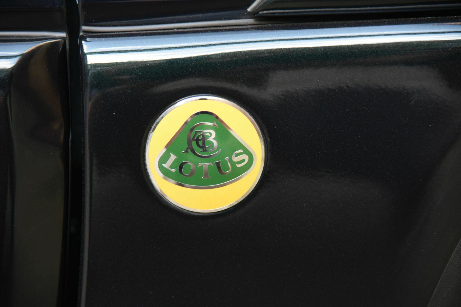 Opel Lotus Omega; Markenzeichen