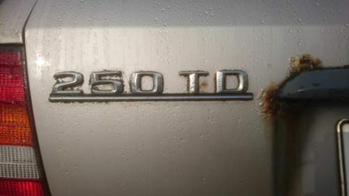 Dsc-0495