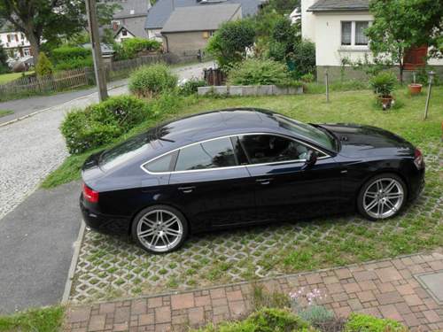 Brambach2012-009