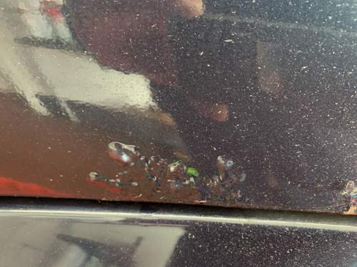 Bild #211504178
