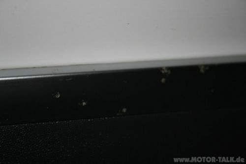 Img-2807