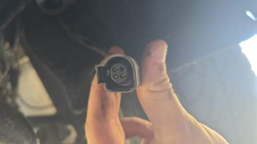 IMG-20240406-WA0038.jpeg
