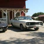 Img-5861